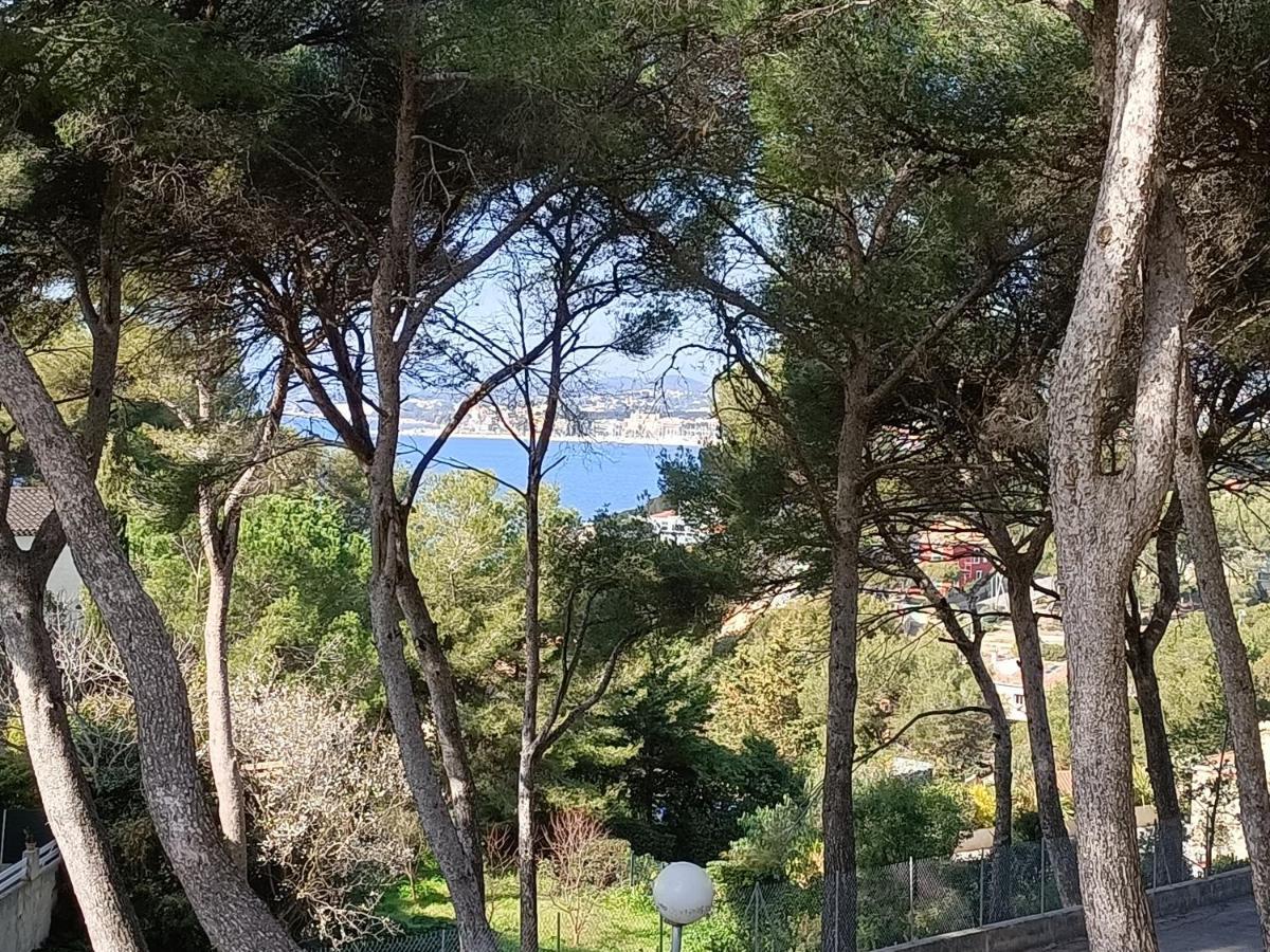 Appartement T2 Sanary Sur Mer エクステリア 写真